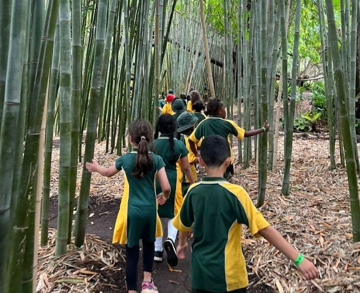 Copy of DA - Gallery - Gallery Block Excursions